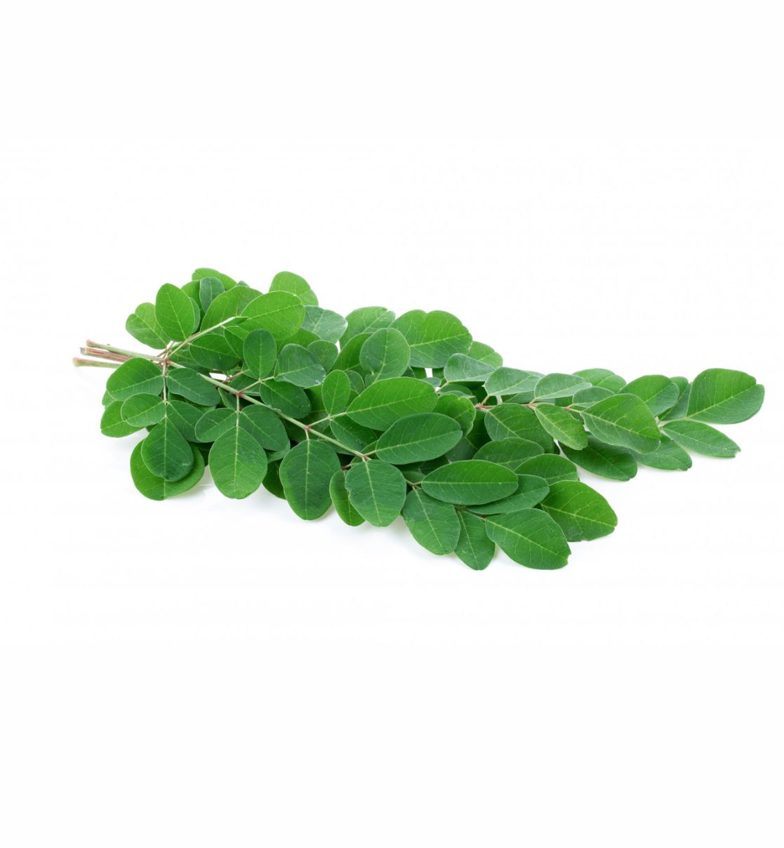 Drumstick leaves{Munga sag}