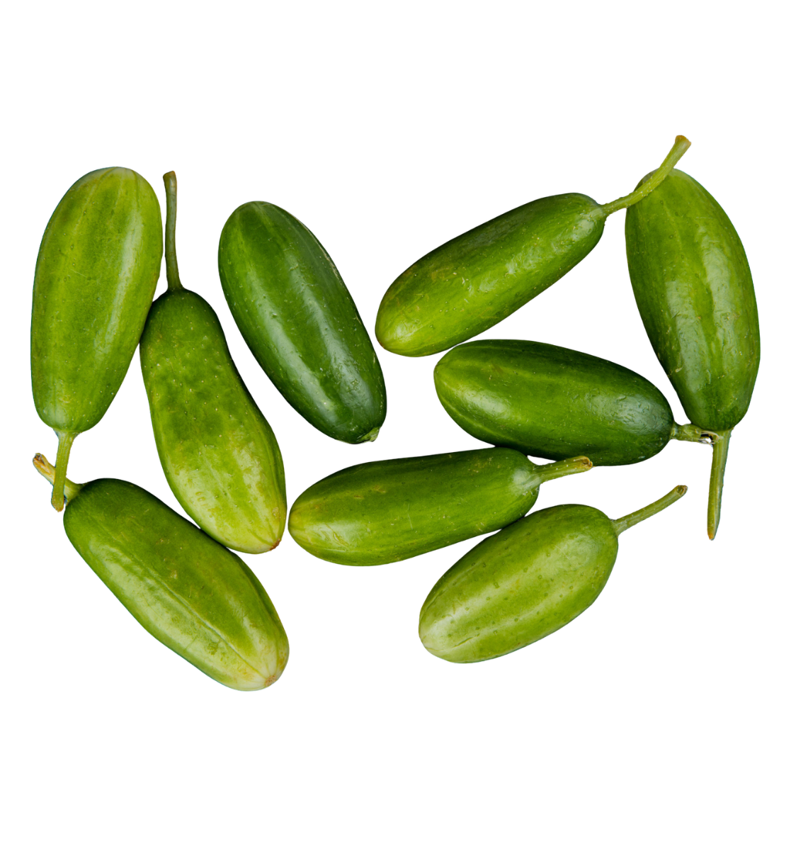 Ivy Gourd (Kundru)
