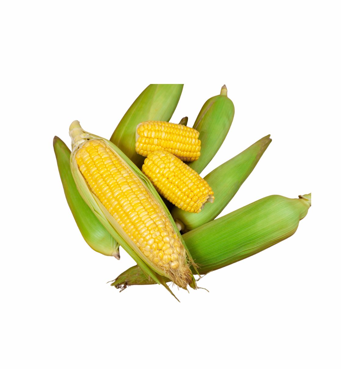 Corn (Makka)