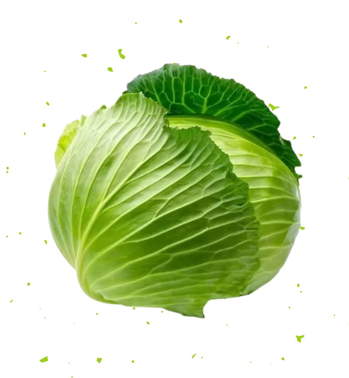 Cabbage (Patta Gobhi)