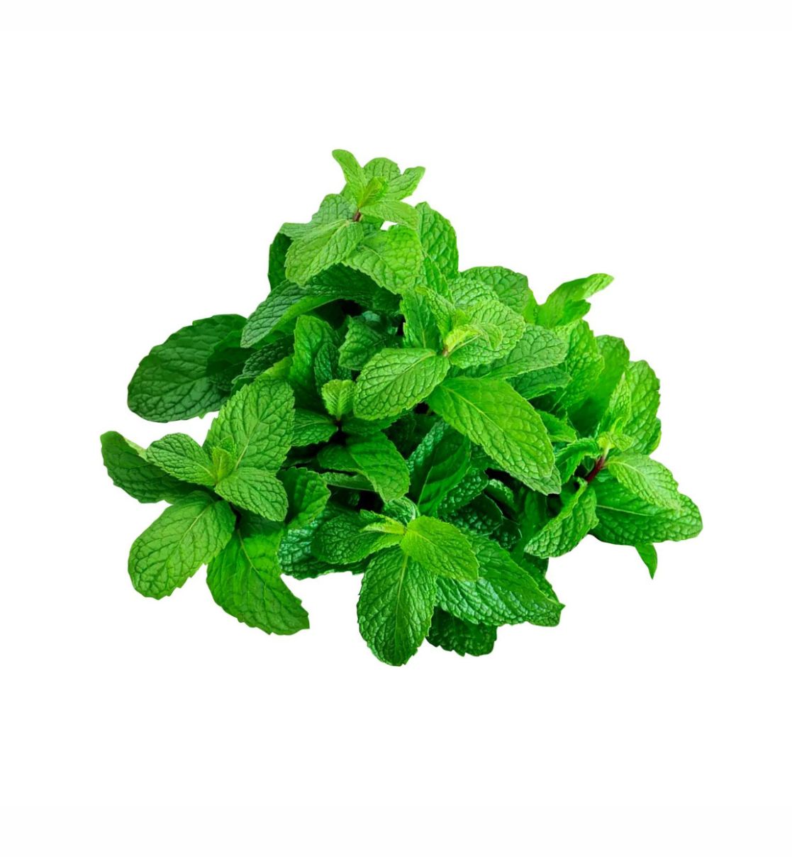 Mint Leaves (Pudina)
