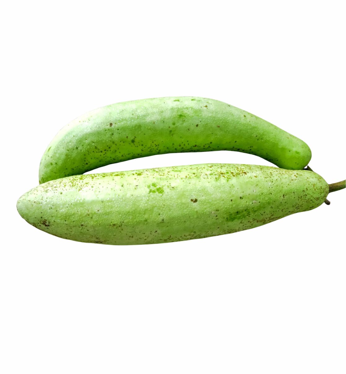 Bottle Gourd (Lauki)