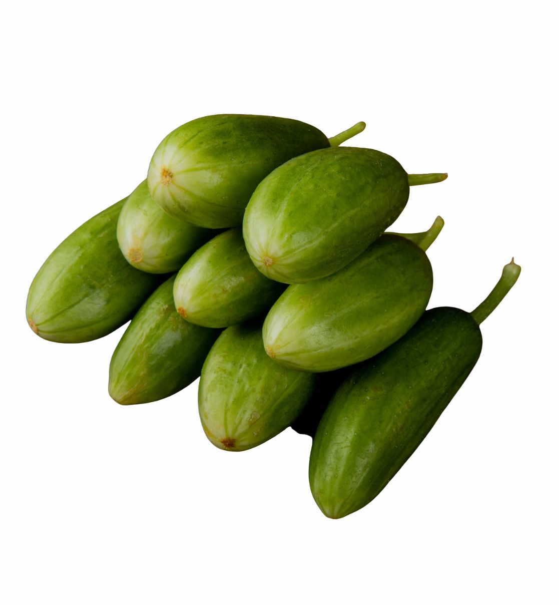 Pointed Gourd (Parwal)