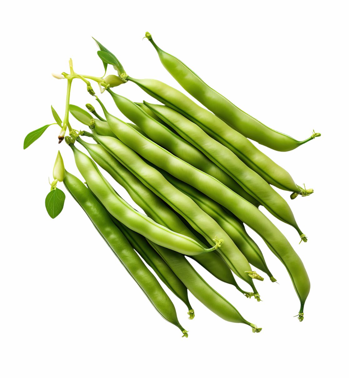 Green Peas (Matar)