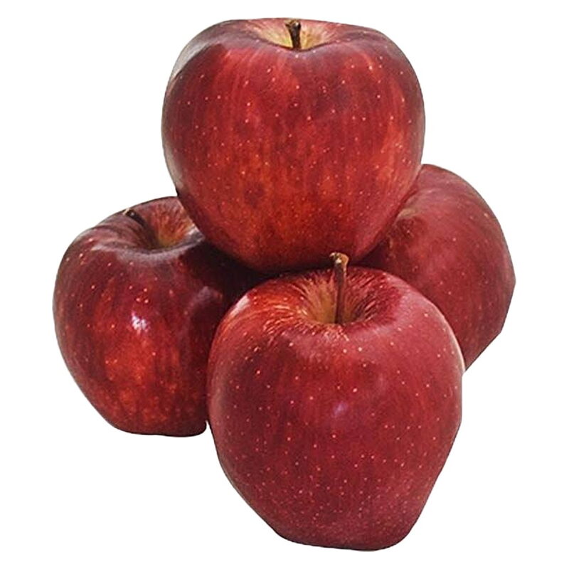 Apple Shimla (Seu / Seb)