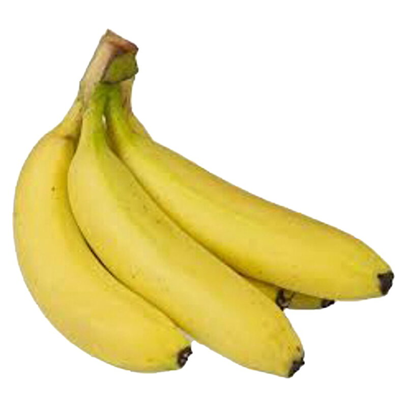 Banana Robusta (Kadali / Kela)