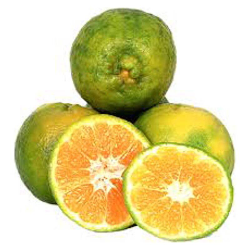 Orange Nagpur (Kamala / Santra)