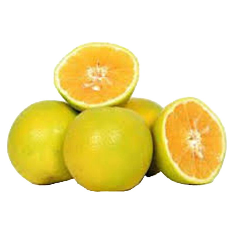 Mosambi / Sweet Lime (Mosambi / Mausambi)