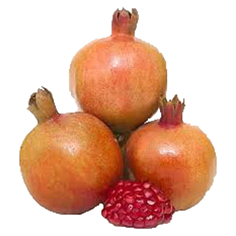 Pomegranate (Dalimba / Anar)