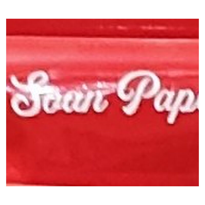 Bikaneri Shriram Soan Papdi